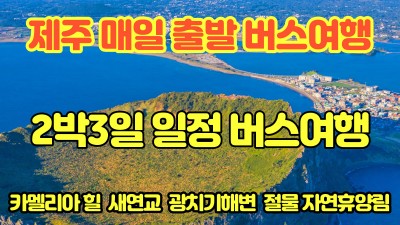 2박3일 매일출발 버스관광~~~
